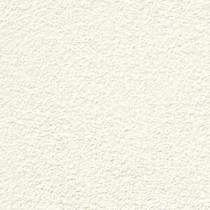 Effet-béton-E19-Blanc-absolu
